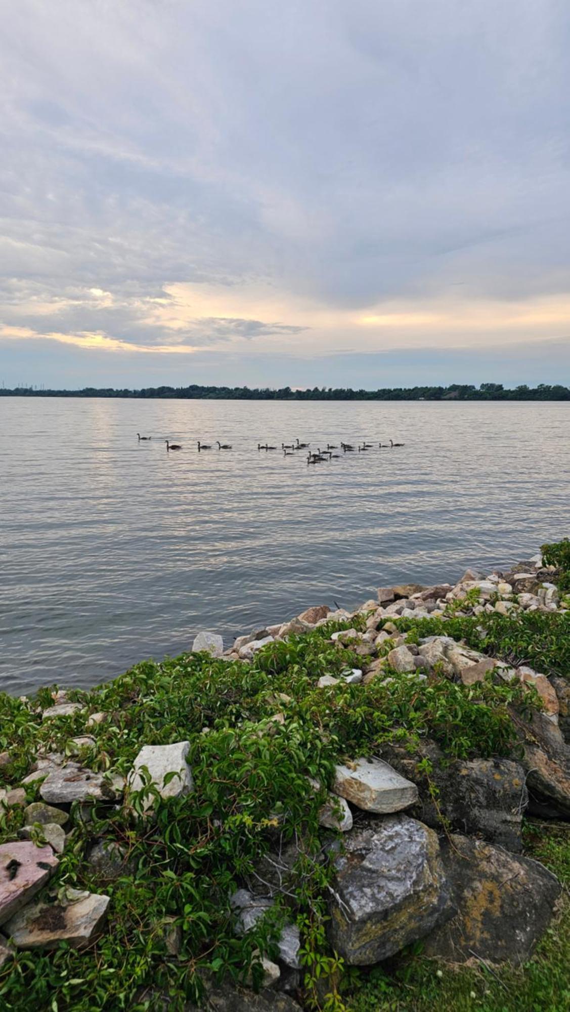Hotel Oasis Lac St-Louis Salaberry-de-Valleyfield Zewnętrze zdjęcie