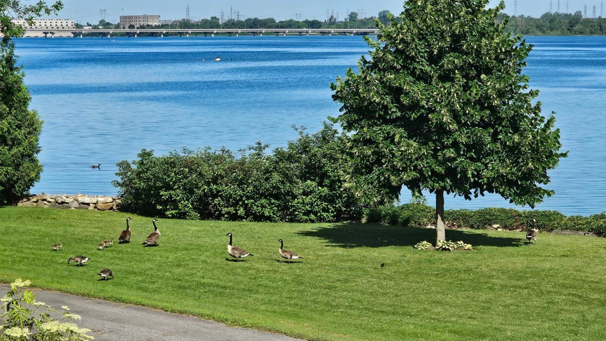 Hotel Oasis Lac St-Louis Salaberry-de-Valleyfield Zewnętrze zdjęcie