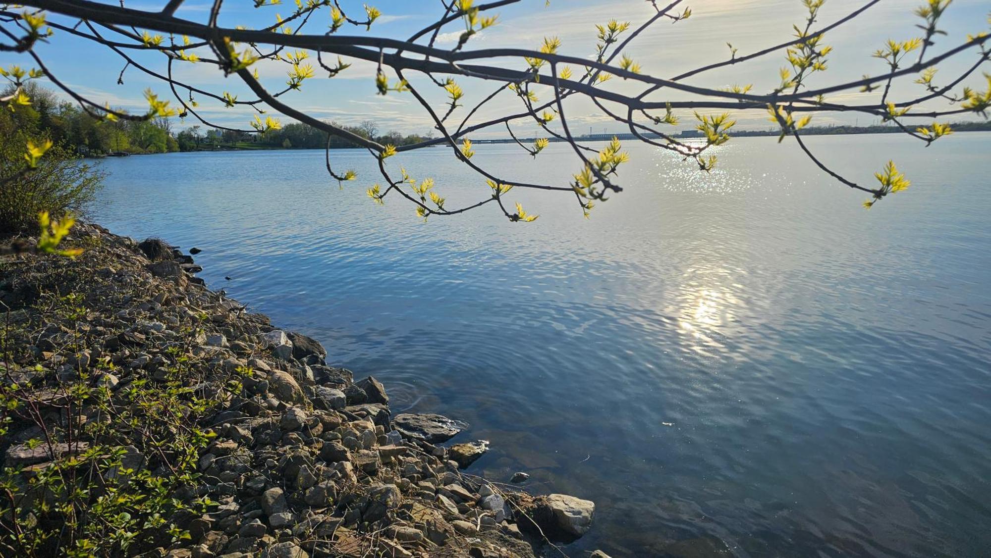 Hotel Oasis Lac St-Louis Salaberry-de-Valleyfield Zewnętrze zdjęcie